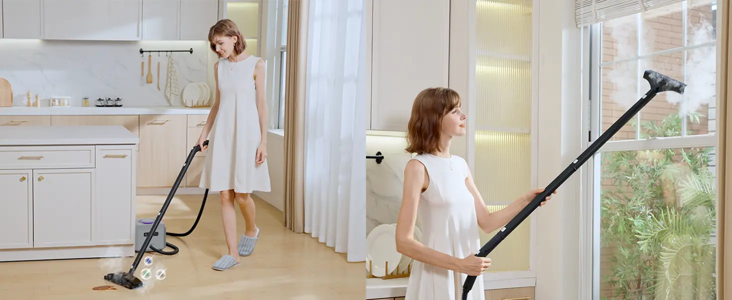 Awasky Steam Cleaner