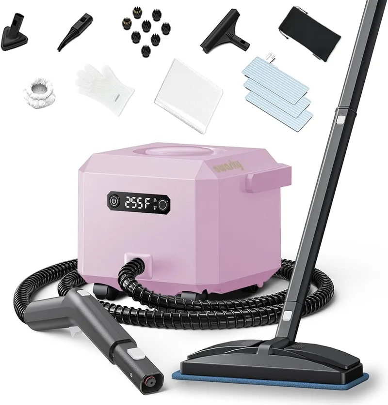 awasky Steam Cleaner, 1650W